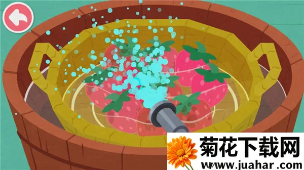 ����ׯ԰2026����