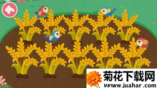 ����ׯ԰2026����