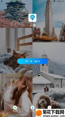 ����(�����罻����)