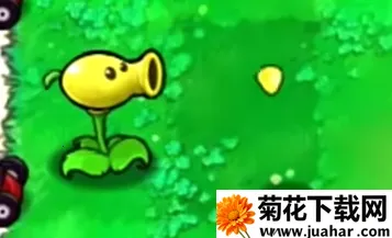 植物大战僵尸废物 植物大战僵尸废物