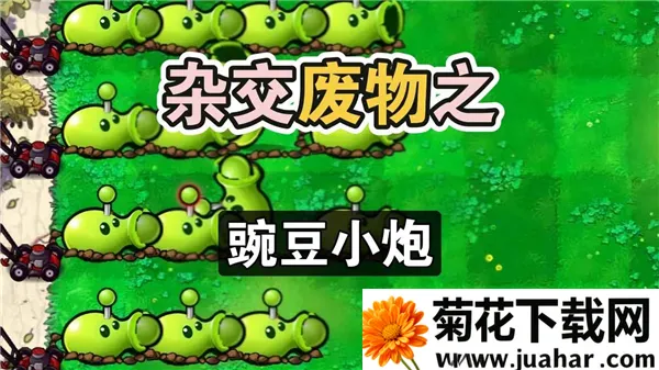 �����ս��ʬv1.5 �ٷ�����