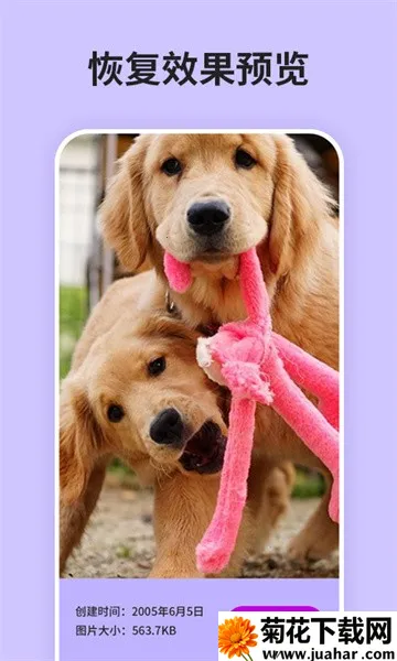 ����Ƭǿ���ָ�����v1.5 �ֻ���