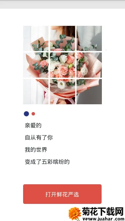 �ʻ���ѡ�����ֻ���v3.1 �ٷ�����