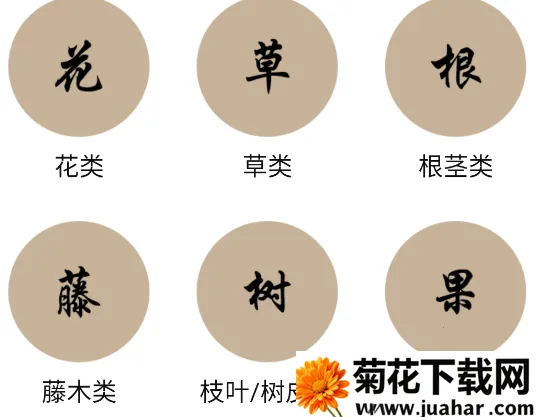 中草药宝典 中草药宝典