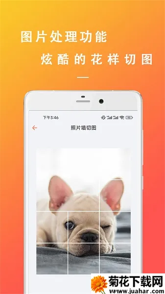 �����İ�����