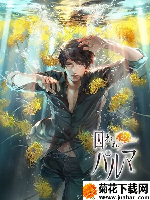 ��������������֮�ֵ�2026���ذ�װv6.01.01 ��Ѱ�