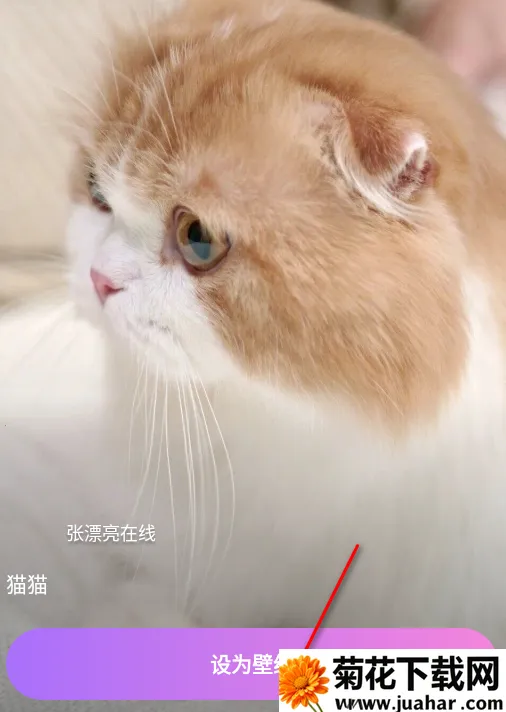 Ĵָ��ֽ2026�ٷ�����