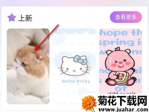 Ĵָ��ֽ2026�ٷ�����