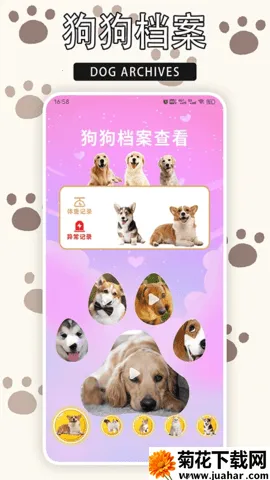 ����èv1.9 �ٷ�����