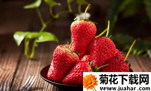 神奇口袋 神奇口袋