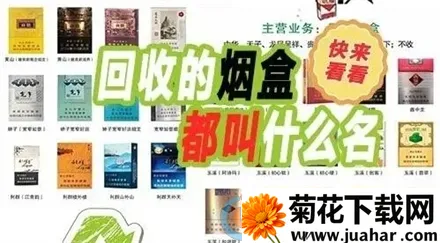 ͳ���̺л���2026����