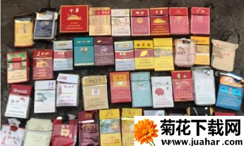 ͳ���̺л���2026����