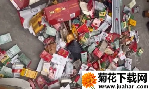 ͳ���̺л���2026����