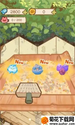 è��èʺ��2026����