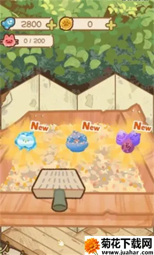 è��èʺ��2026����v0.1 ��Ѱ�