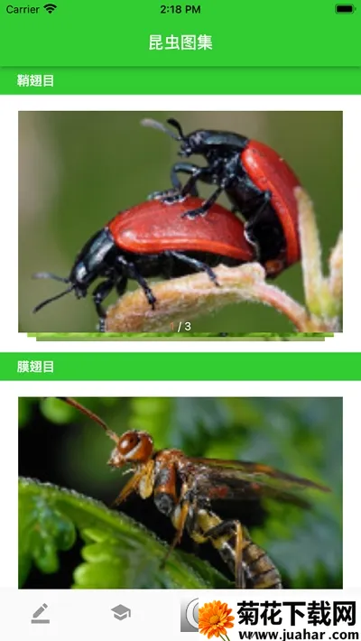 ���2026���°汾v1.1 �ֻ���