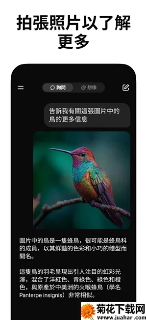 Grokж��v1.3.3 �ٷ�����