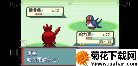 �ڴ�������������2026�ٷ�����