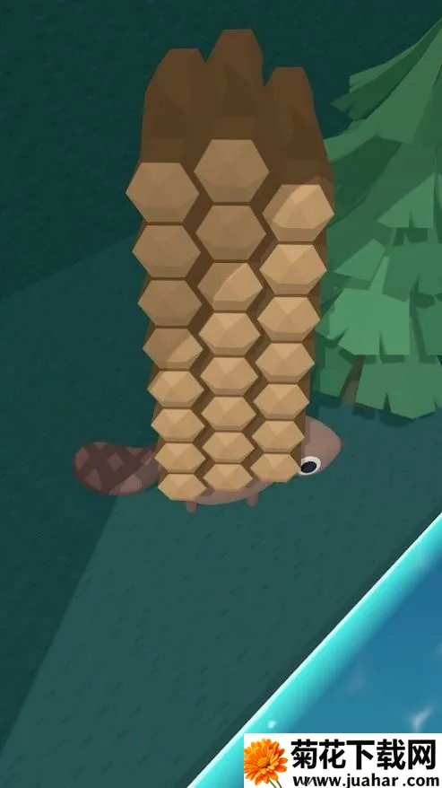 海狸建造者 海狸建造者