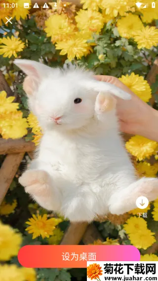 �ǻ��ֽ2026�ٷ�����v1.0.0 �ٷ�����