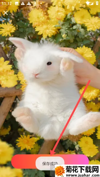 星汇壁纸2026官方正版 星汇壁纸2026官方正版