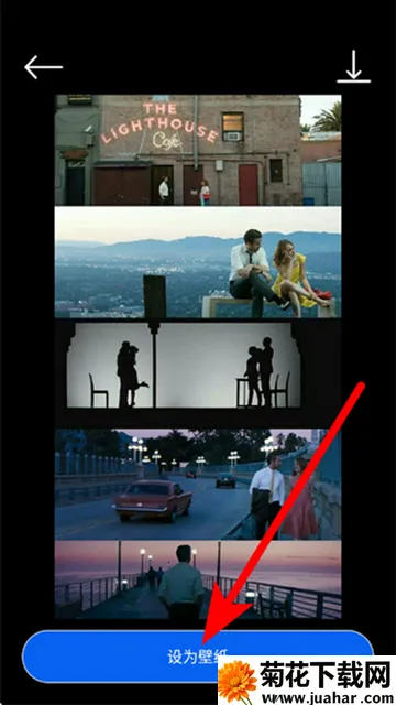 蜂鸟影院壁纸2026下载安装 蜂鸟影院壁纸2026下载安装