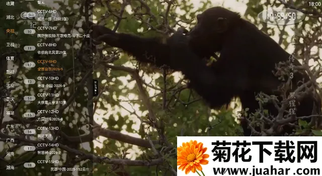 ���TV����ֱ�������ֻ���v1.0.5 �ֻ���