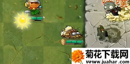 ֲ���ս��ʬ����2026�ٷ�����