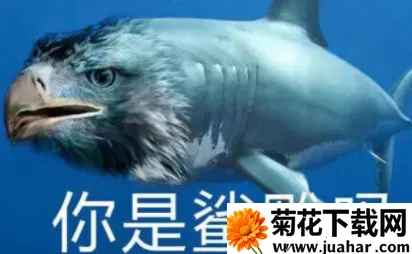 ϫ��gif����2026�ٷ����°汾