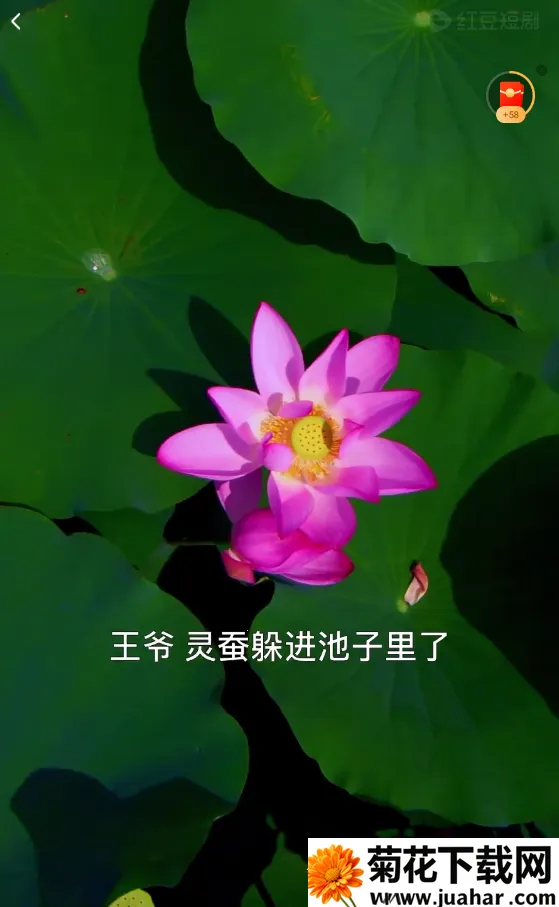 �춹�̾�ٷ�����app