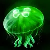 eggjelly�̾�2026���°汾v2.5 ��׿��