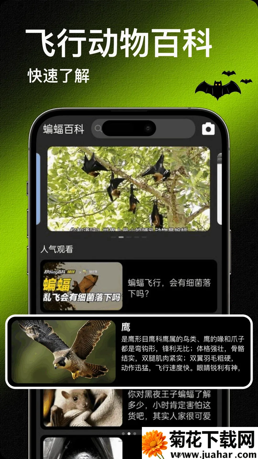 Bat����(���ж������)v1.2 �ֻ���