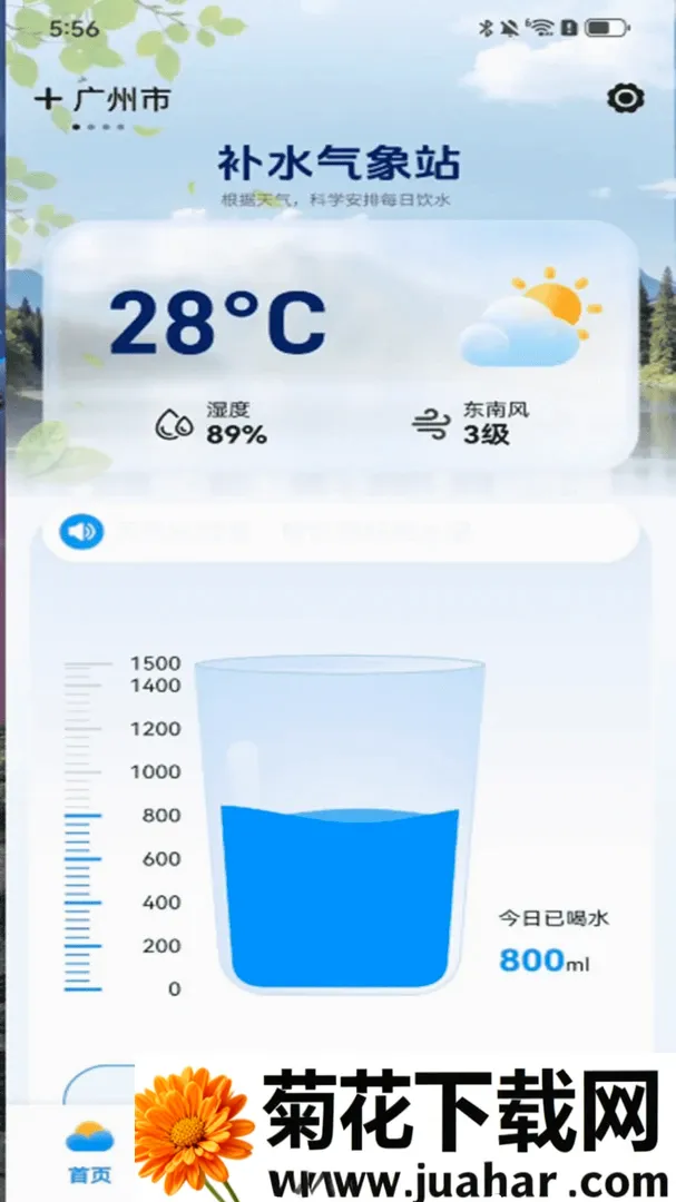 ʵ��������(������ˮ����)v1.0.00.00 �ֻ���