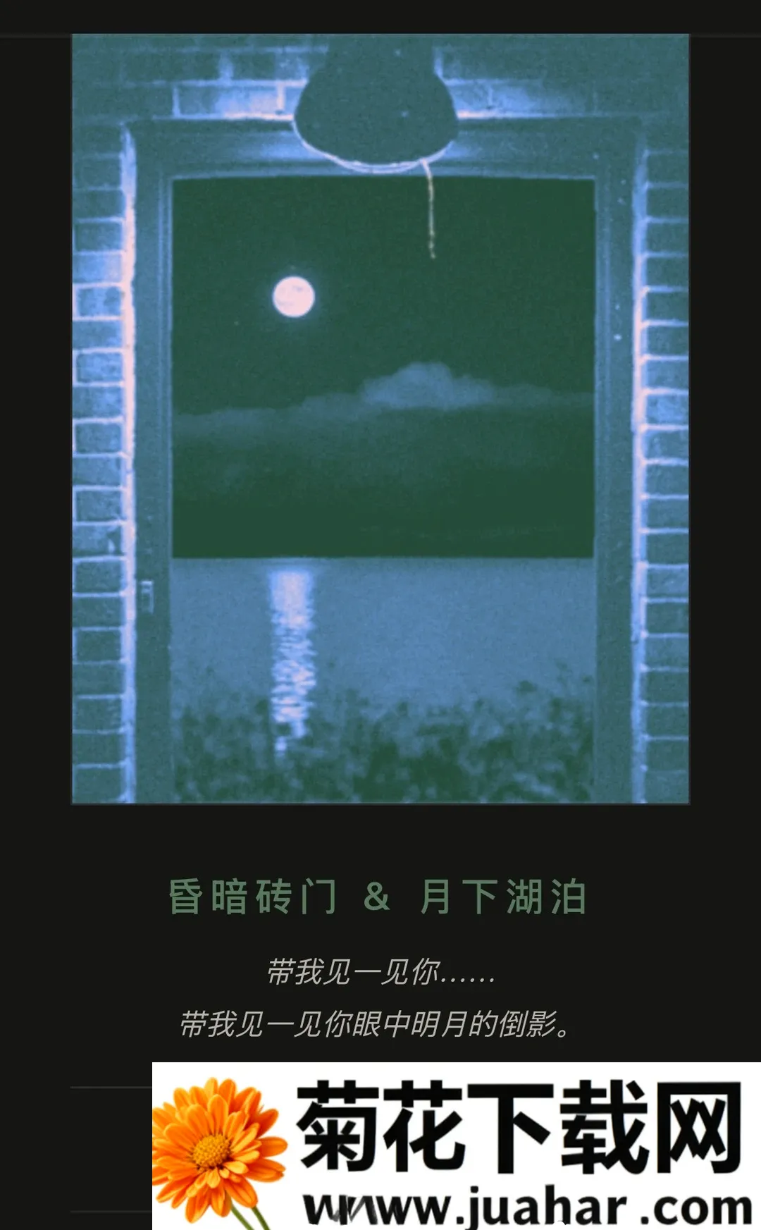 ���Ŷ�������2026�ٷ����°汾
