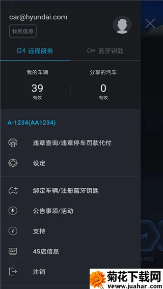 �����ִ�bluelink