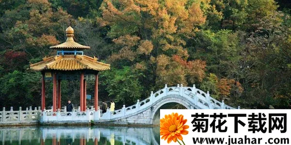 E����2026�ٷ�����