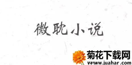 ΢��С˵����