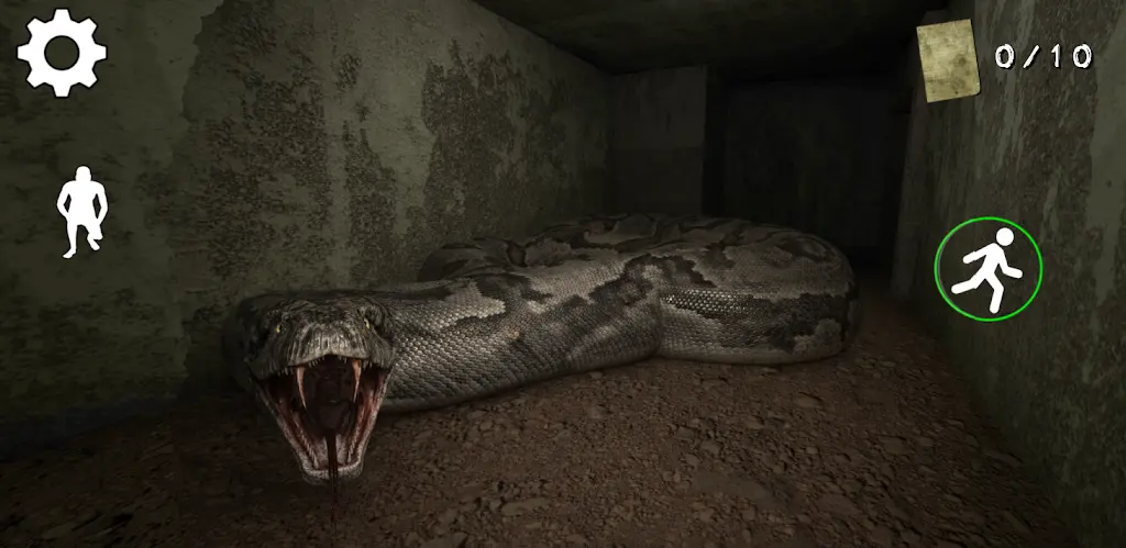 �ֲ������ڹ���2026����v1.1 �ٷ�����