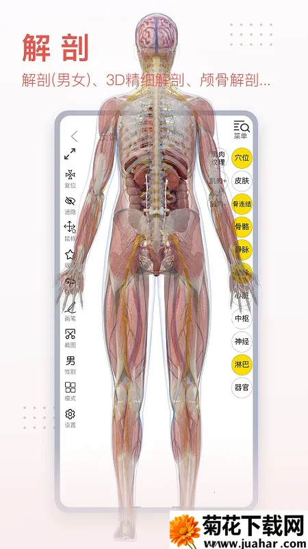 3dbody��������v8.8.91 �ֻ���