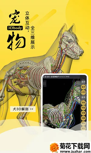 3dbody��������v8.8.91 �ֻ���