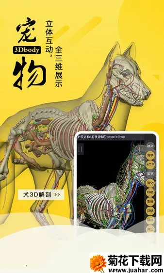 3dbody�����ƽ��v8.8.91 �ٷ�����