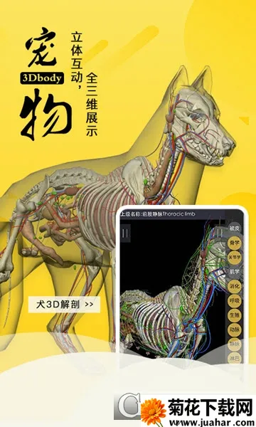 3dbody宠物破解版 3dbody宠物破解版