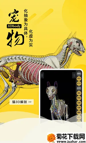 3dbody�����ƽ��v8.8.91 �ٷ�����