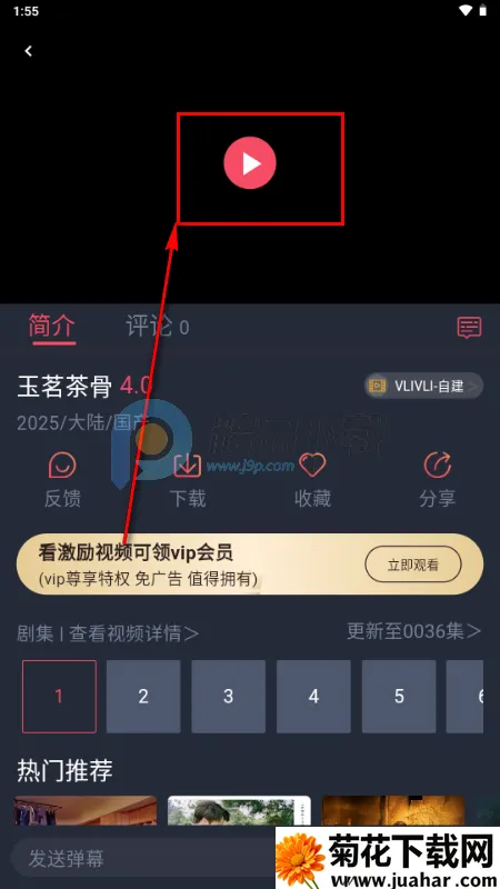 vlivli影视2026最新版本 vlivli影视2026最新版本