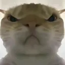 �������ж����󹤾�(�������ж�����)v1.0 �ٷ�����
