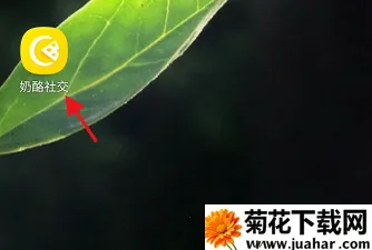 ���Ҹ���2026���ذ�װ