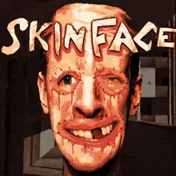 ����skinface2026�ٷ����°汾v1.0 ��Ѱ�