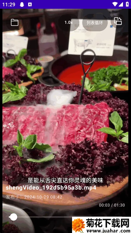 TikAlbum2026���ذ�װv1.0.0 �ֻ���