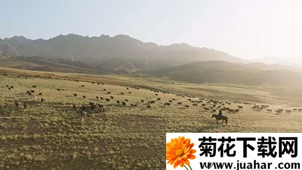 ȫ�ۺ�TV�����ֻ���