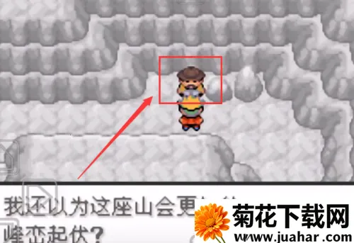 �ڴ��������뱦������